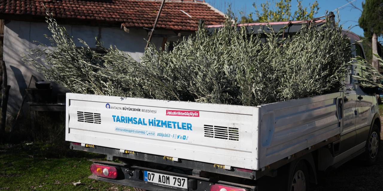 Yangında zarar gören üreticilere destek: 200 adet hibe edildi
