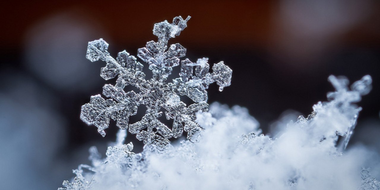 Kristal kar en güzel oraya yağdı. Akın akın görmeye gittiler