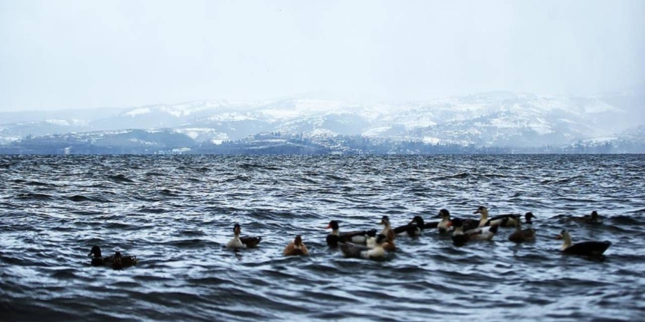 Sapanca Gölü'nün su seviyesi değişti