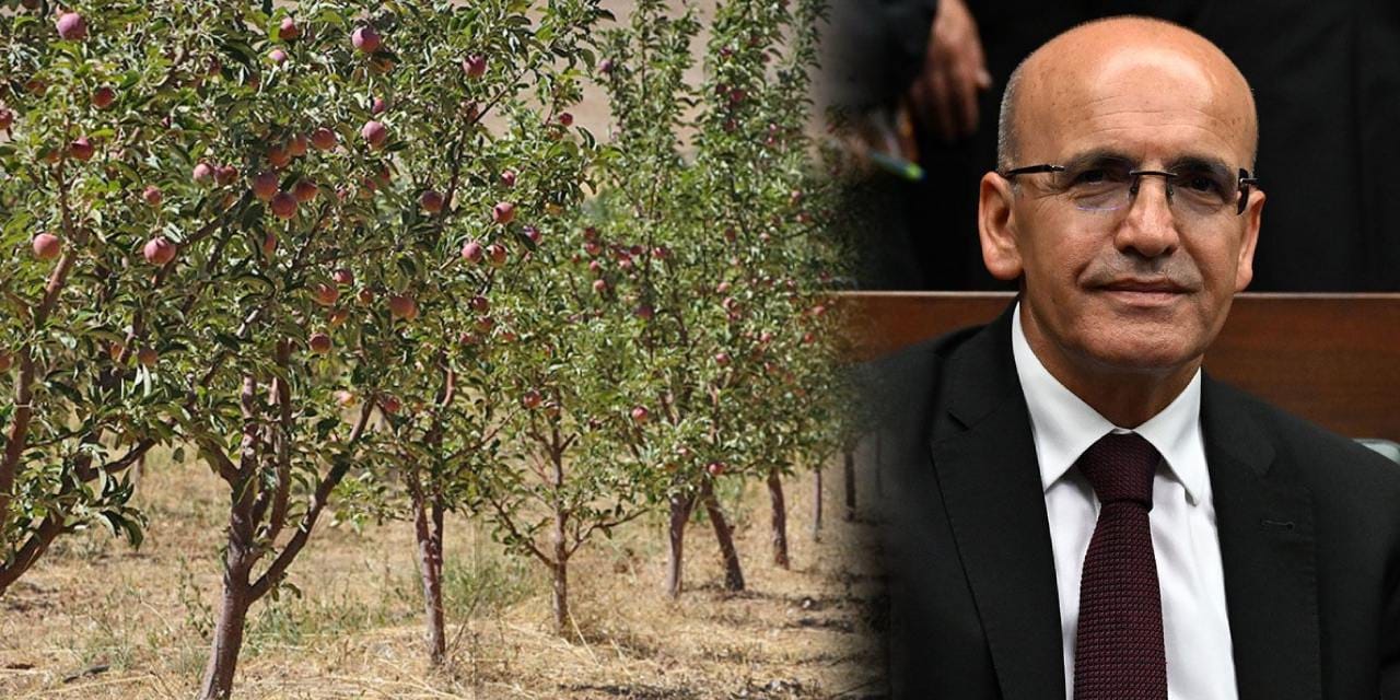Mehmet Şimşek çiftçinin ensesine yapıştı! Bir tane fazla varsa vergi alıyor