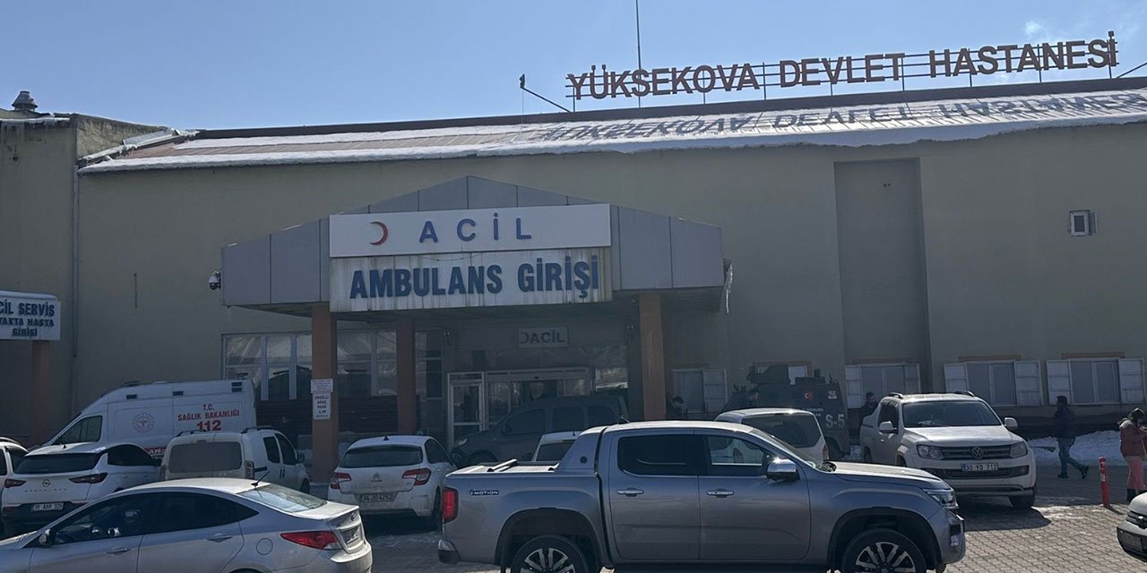 Köpeklerin saldırısına uğrayan çocuk hayatını kaybetti