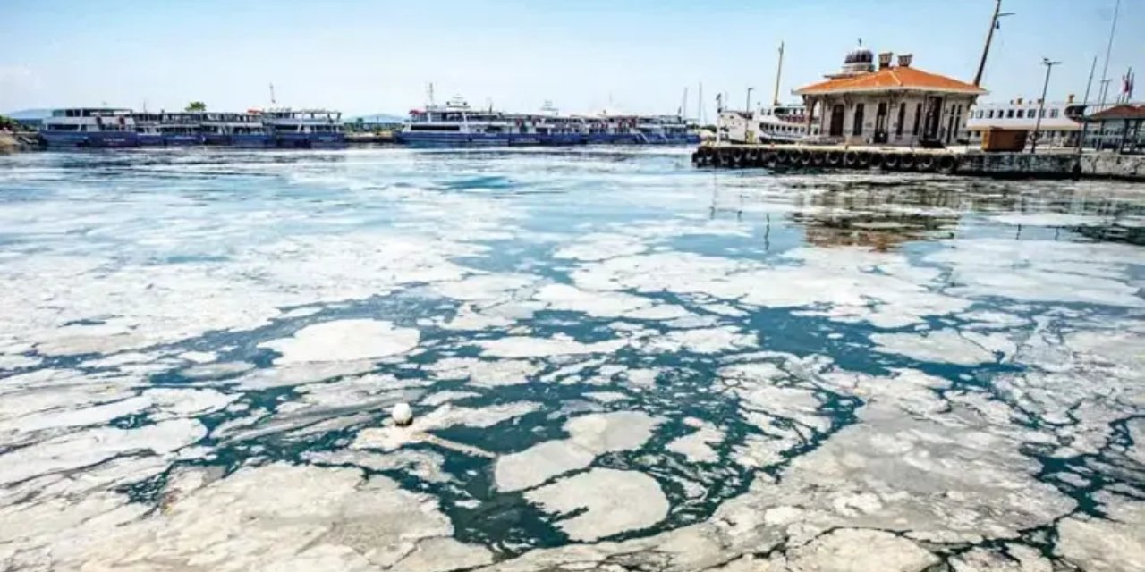 Marmara'daki kabusun nedeni sadece atıklar değilmiş