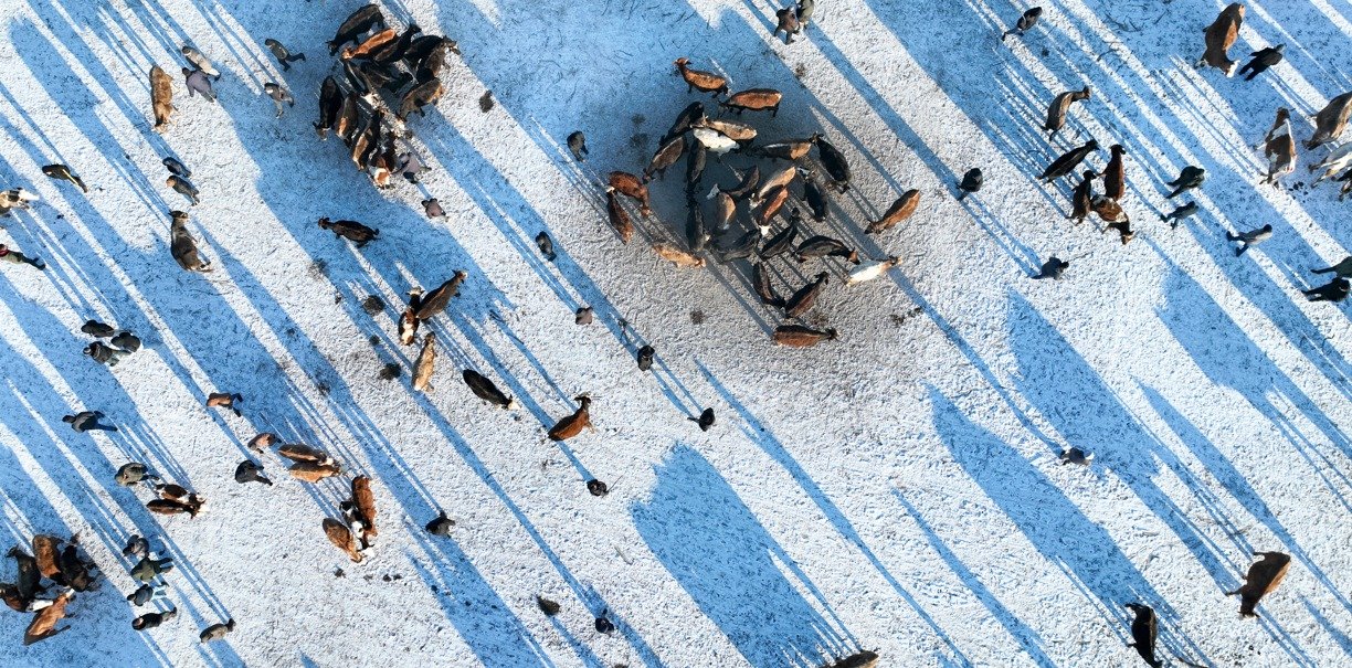 Eksi 20 derecede pazar hareketli: Türkiye'nin her yerine buradan dağılıyor