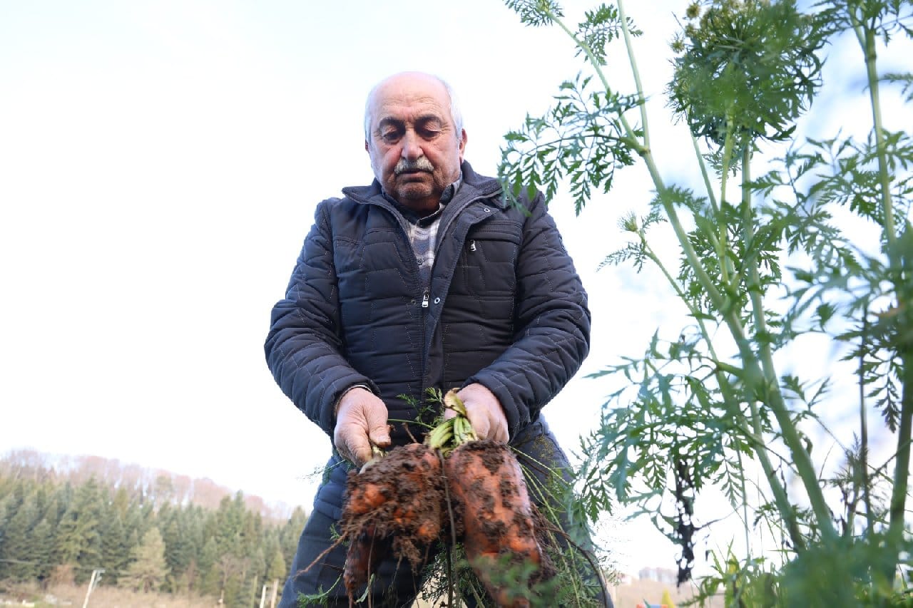 Gören 40 metrekare terasta yetiştirdiklerine inanamadı: Dört mevsim sebze meyve topluyor