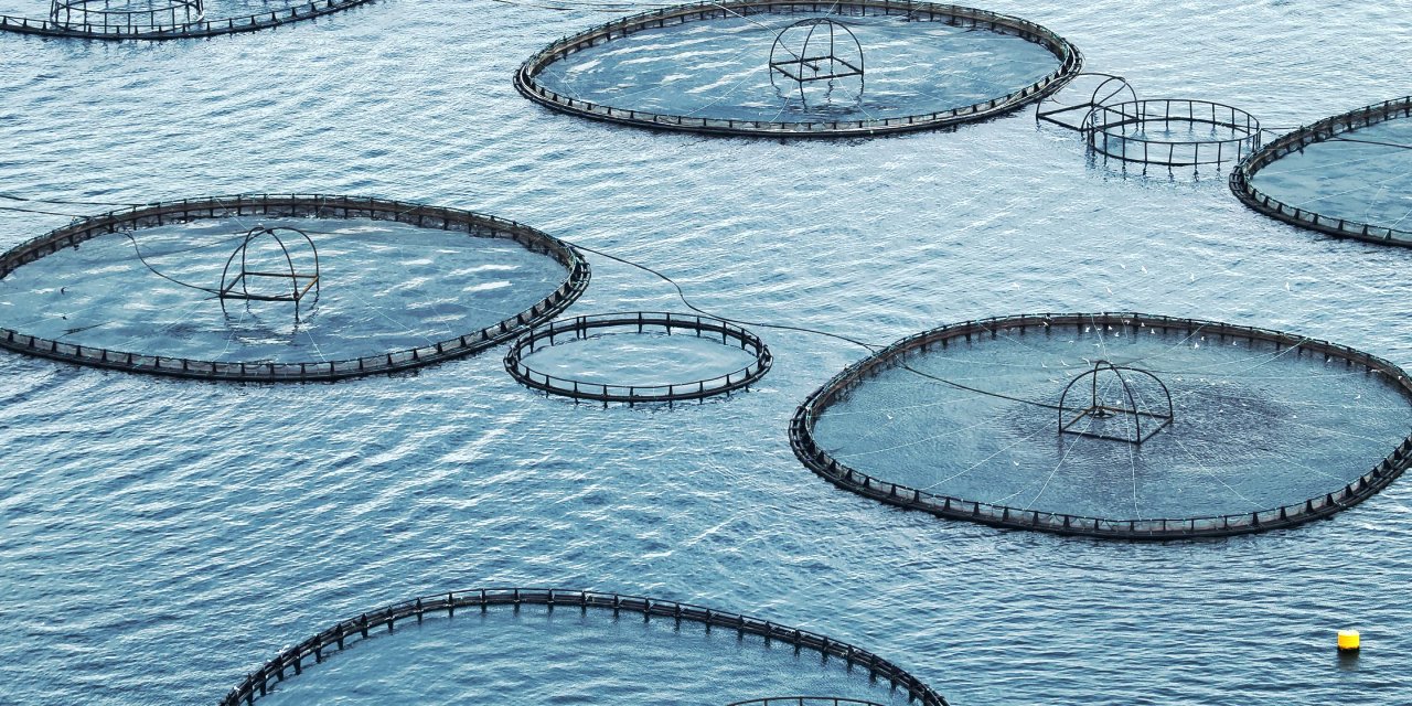 Suyun içinden 625 milyon dolar çıkardılar