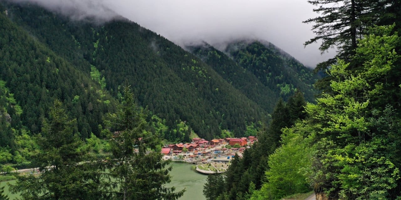 Bu çağrının altında çok büyük acı yatıyor
