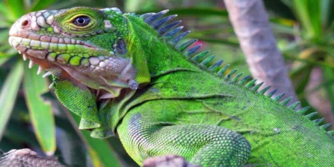 Onbinlercesini öldürecekler