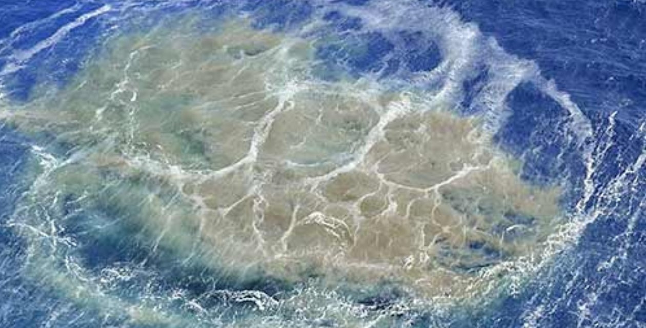 O adada yüzlerce can yaşıyor: Koptu gidiyor, hayatları tehlike altında