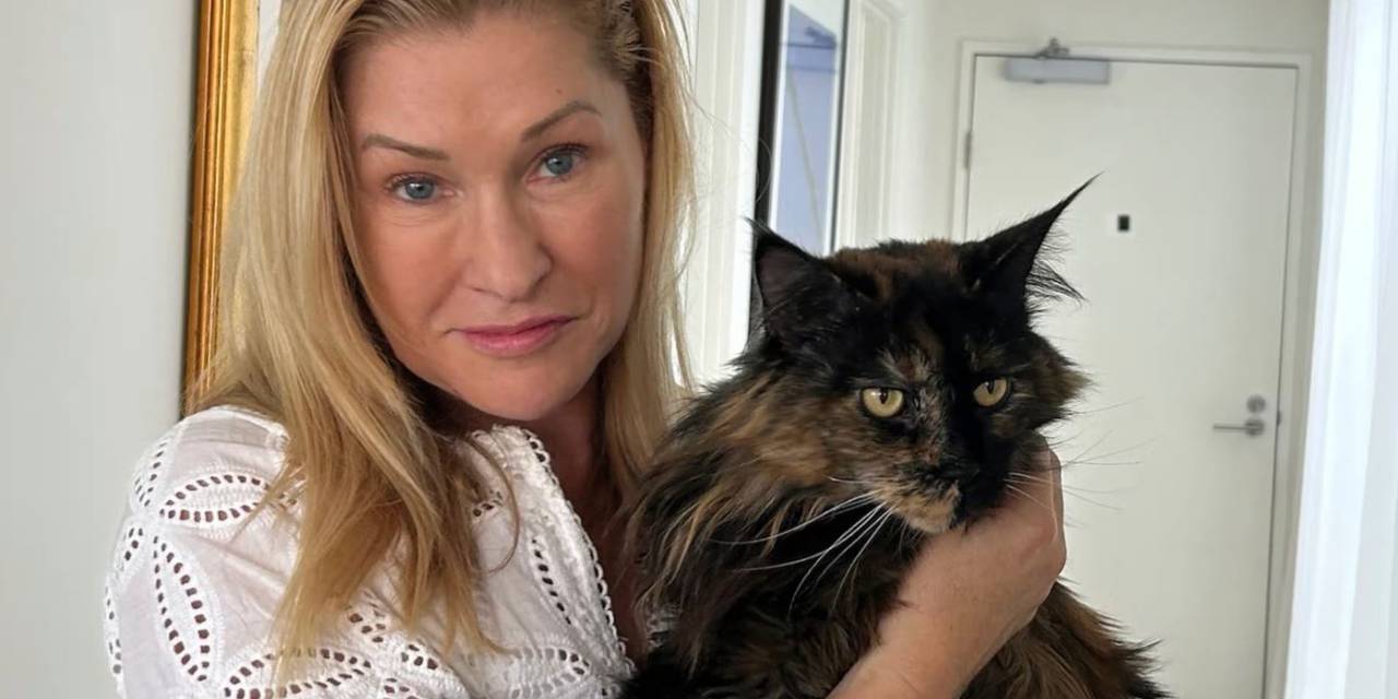 Uçakta unutulan kedi 24 saatte 3 kez uçtu