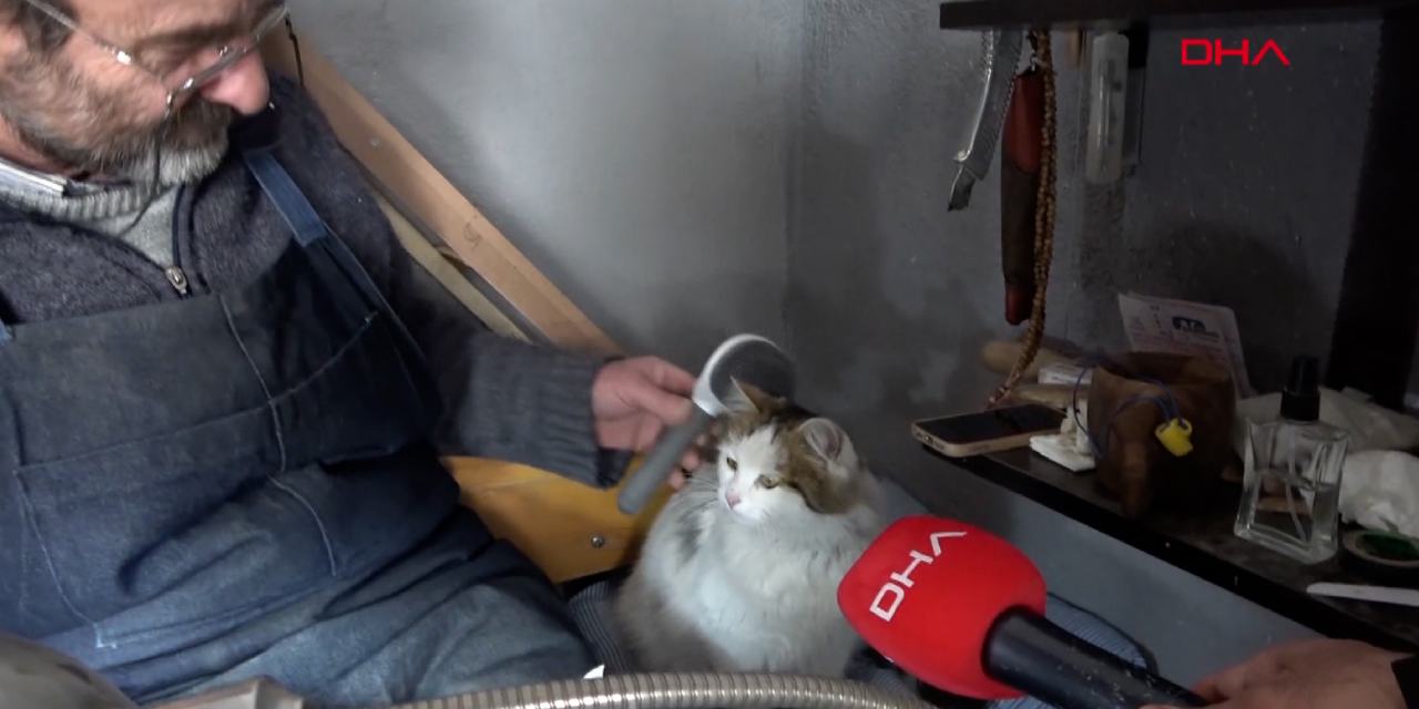 Mikrofon kedi Süslü'ye tutulunca sevginin sesi duyuldu