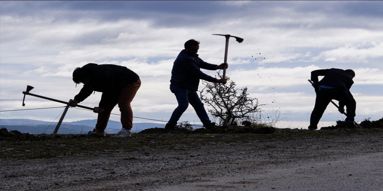 Ölen için de doğan için de bir fidan