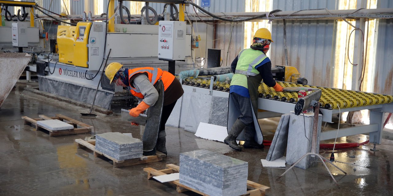 Muğla'dan 60 ülkeye gönderiliyor 400 milyon dolar geliyor