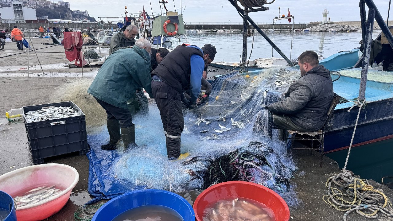 Halk arasında paşa balığı deniyor. Vatandaş palamuta doydu şimdi sıra ona geldi