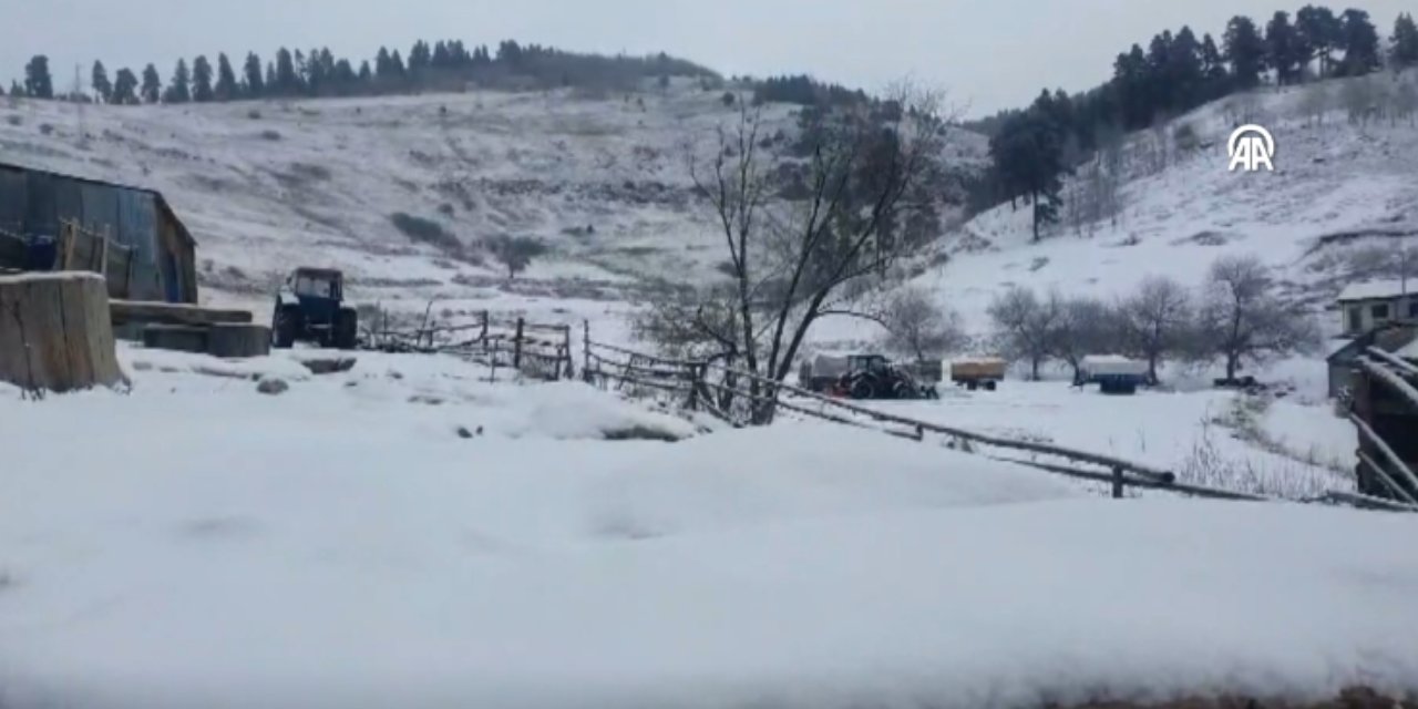 Kars ve Ardahan'da kar yağışı etkili oldu