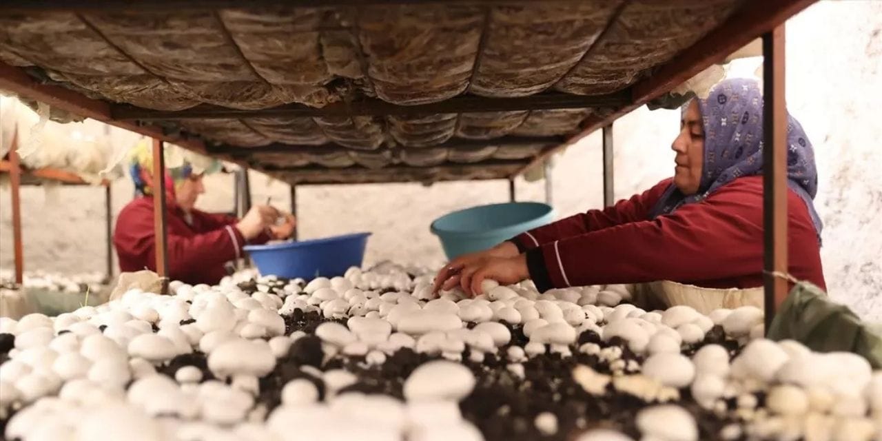 Sadece 6 kadın üretiyor! Tüm Türkiye satın alıyor