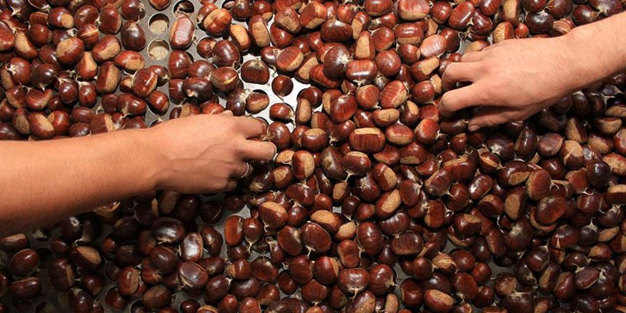 İzmir’de kestane bitme noktasına geldi: Gelirimiz kısıtlandıkça kısıtlandı