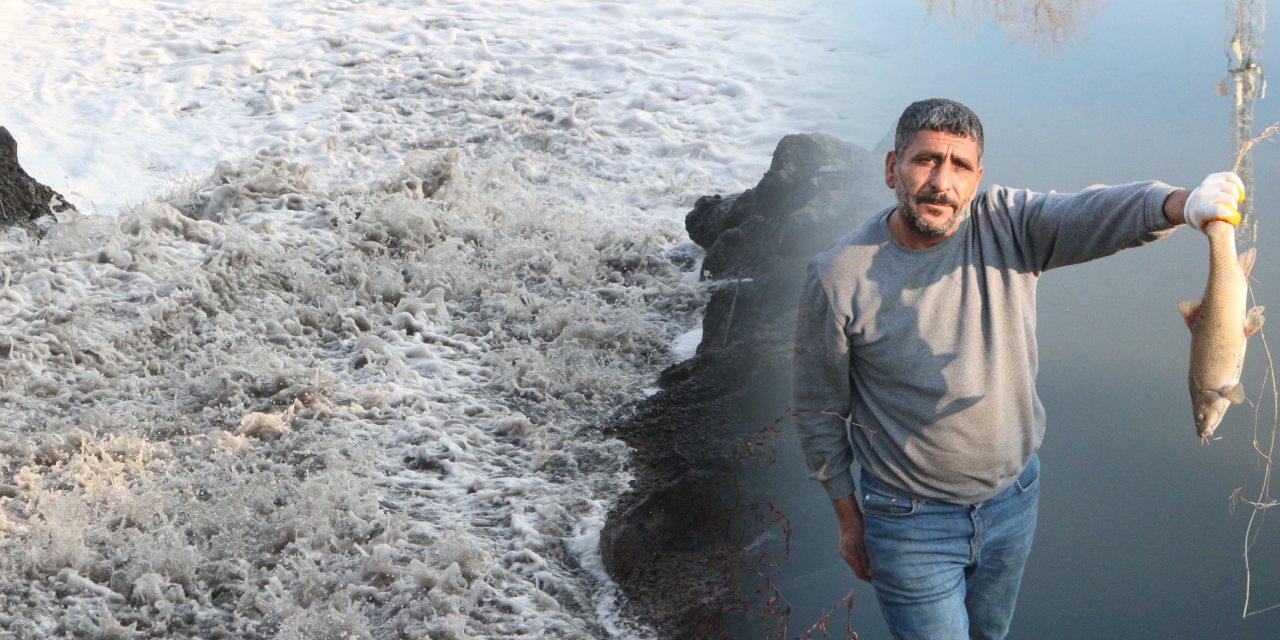 Ceyhan Nehri can çekişiyor: Binlerce balık kıyıya vurdu