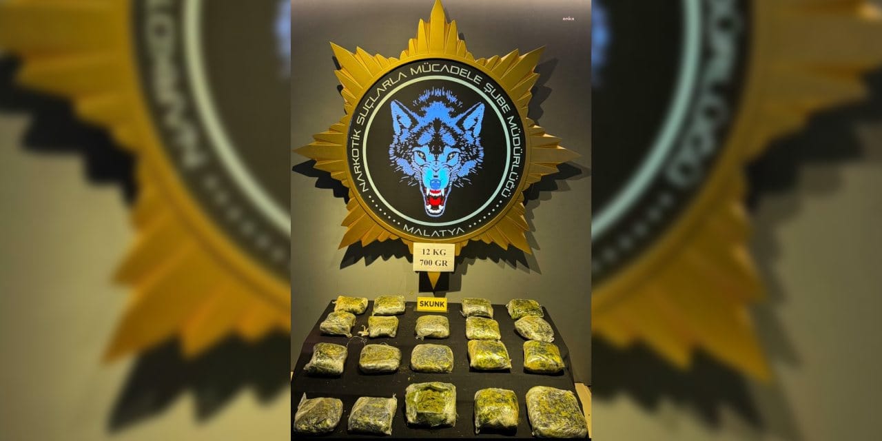 Peynir bidonlarına gizlenmiş 12 kilo skunk ele geçirildi