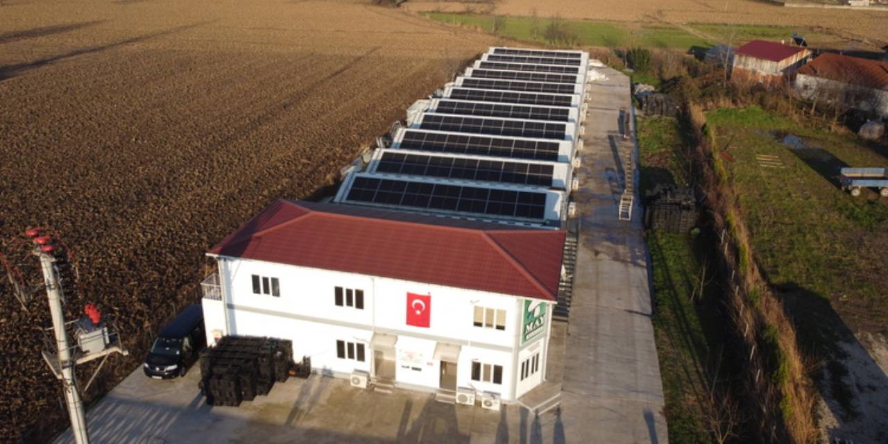 Şehir hayatını bırakıp üretime başladılar: Şimdi İstanbul ve Bursa'ya satıyorlar