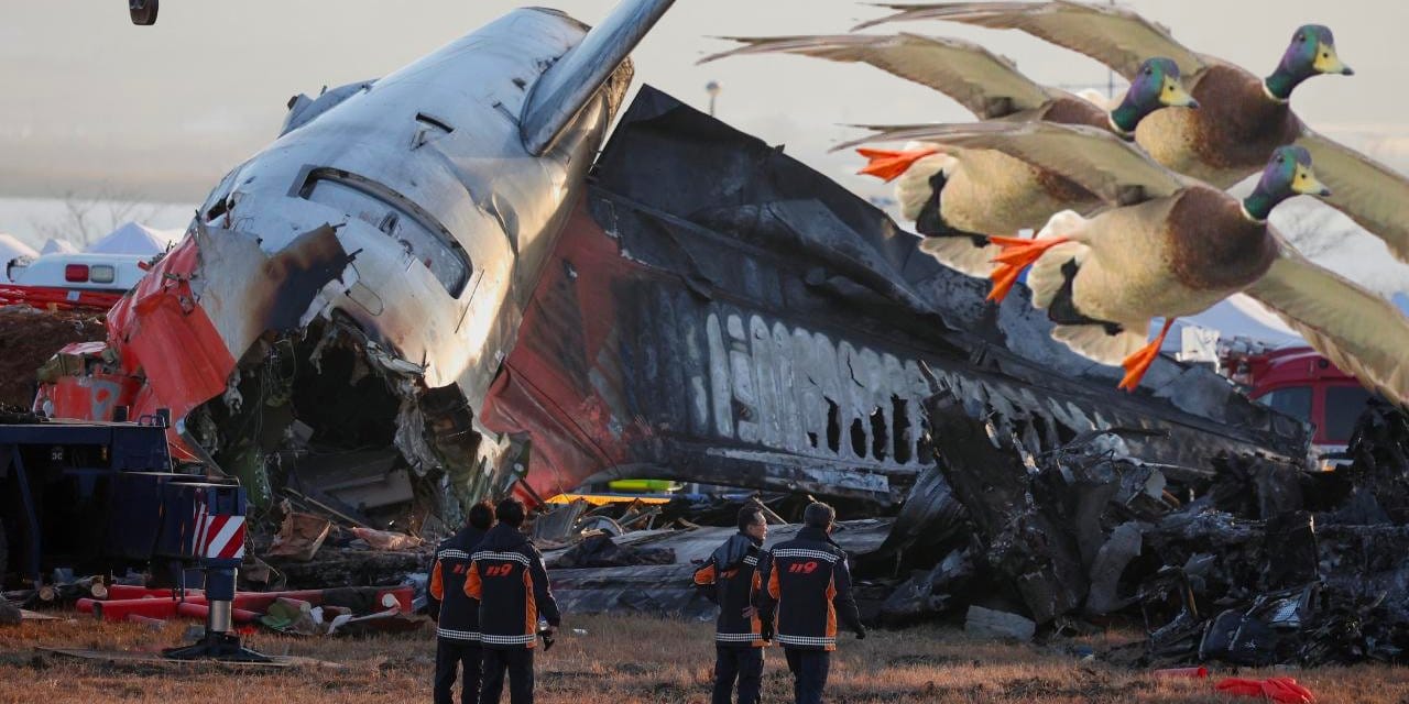 179 kişi motora giren ördekler yüzünden ölmüş