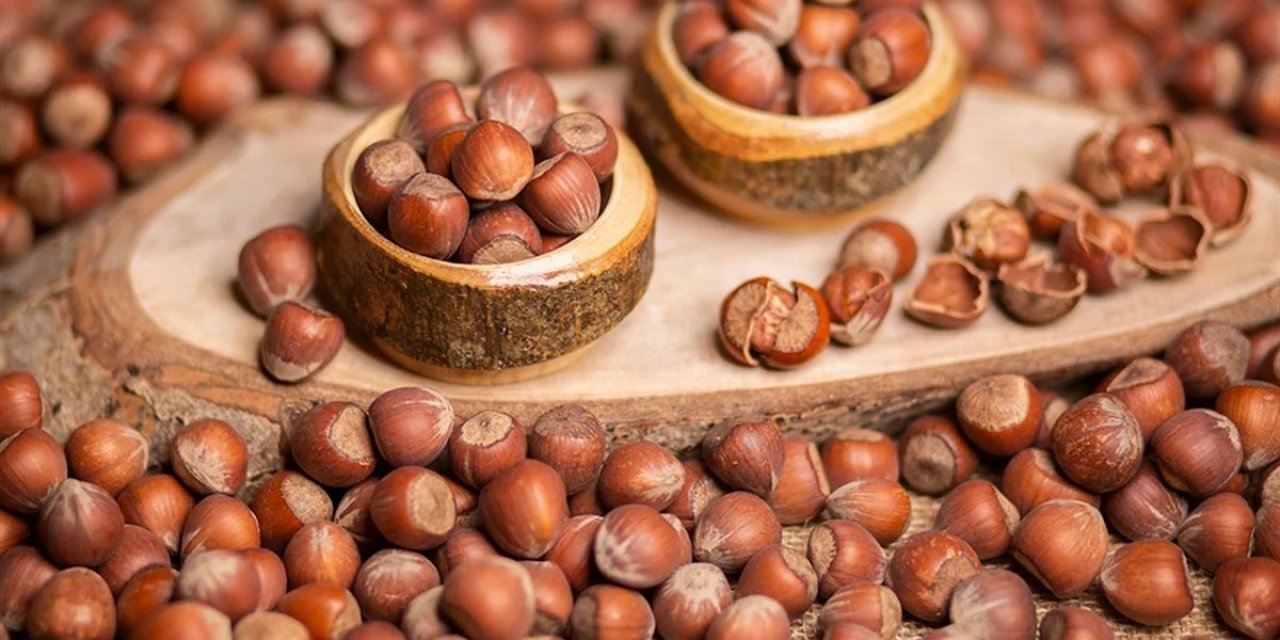 Giresun'da fındık fiyatı açıklandı