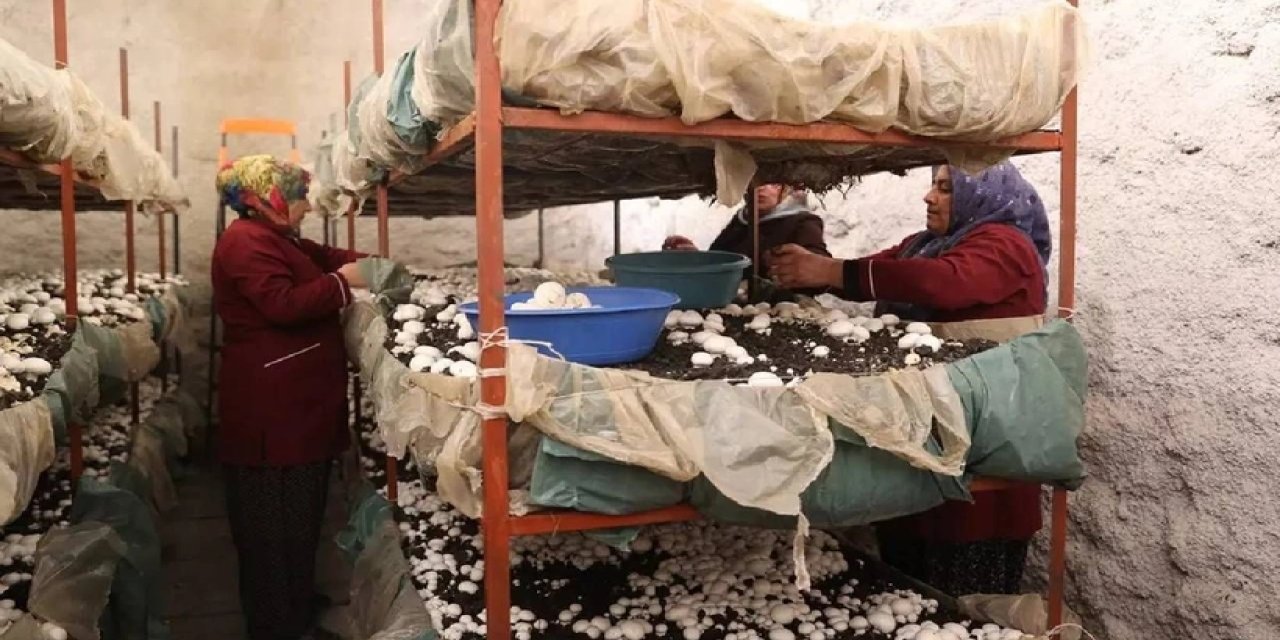 "Sofranın incileri" projesiyle kadınlar yakında erkeklere de istihdam sağlamayı düşünüyorlar