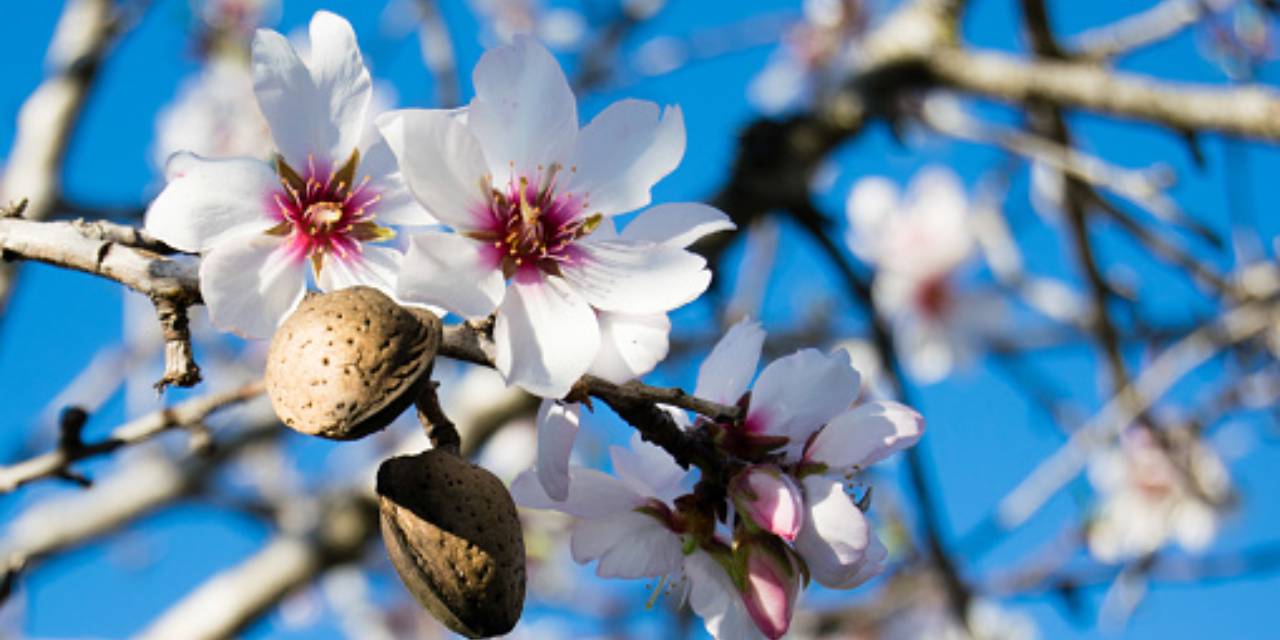 Erkencisine alışık olan köylüler bu kadarını beklemiyordu