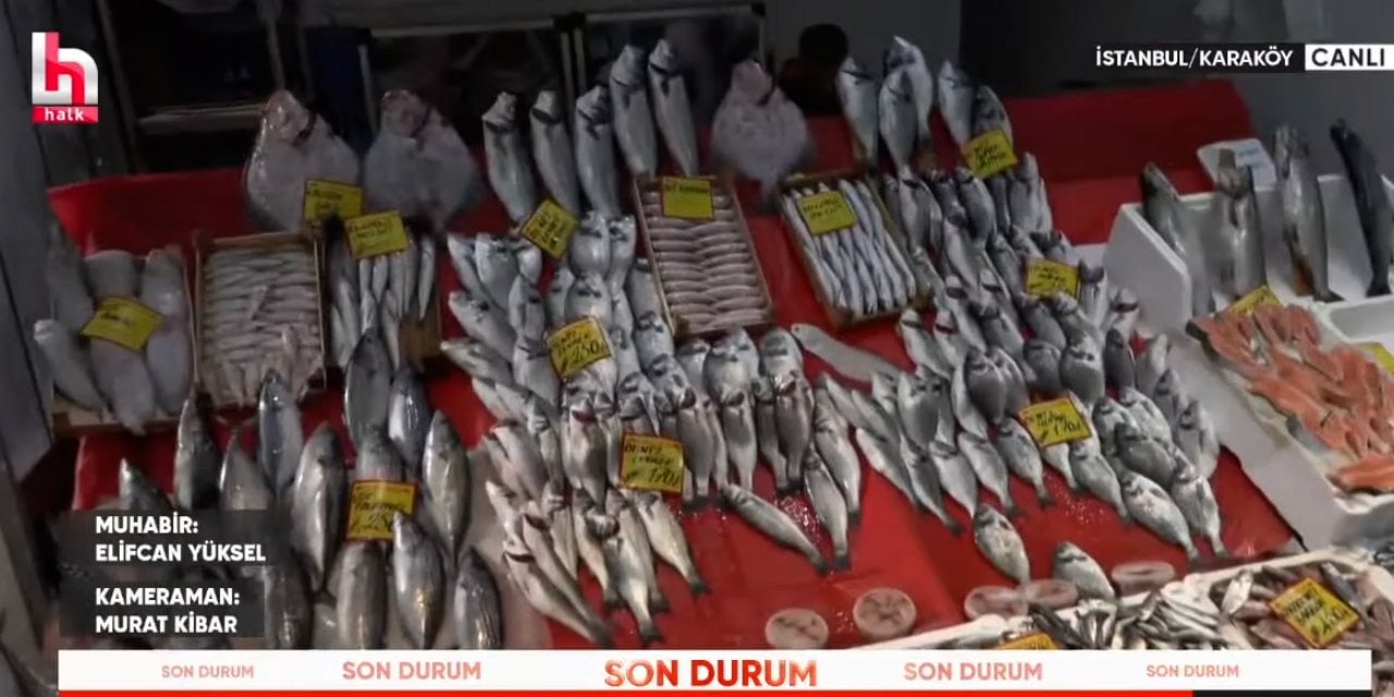 Çinekopun tanesi 200 lira oldu! Hamsi de yem oldu