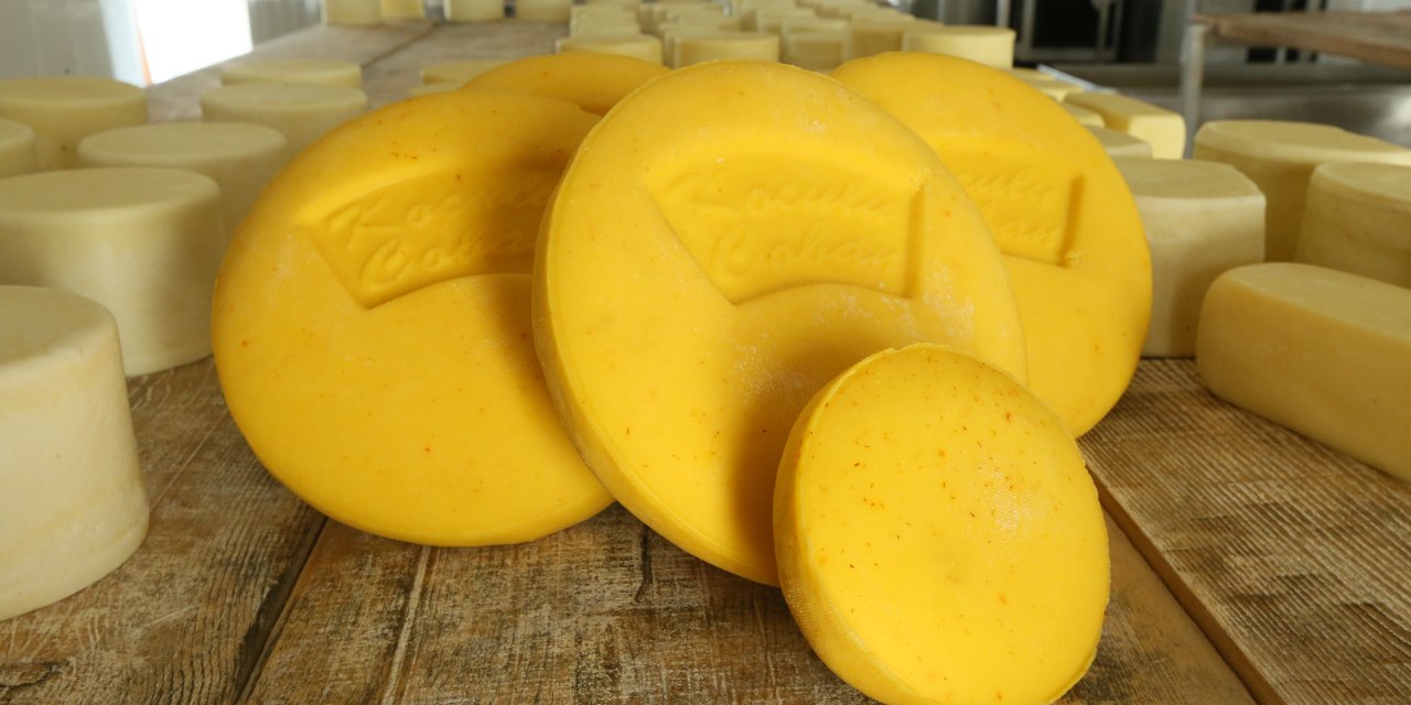 Kars'ın "safranlı peynir"i tüketiciyle buluşmaya hazırlanıyor