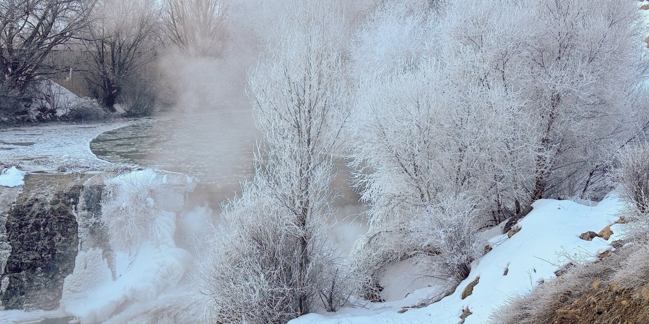 Bu nasıl soğuk! Ağaçlar bile dondu