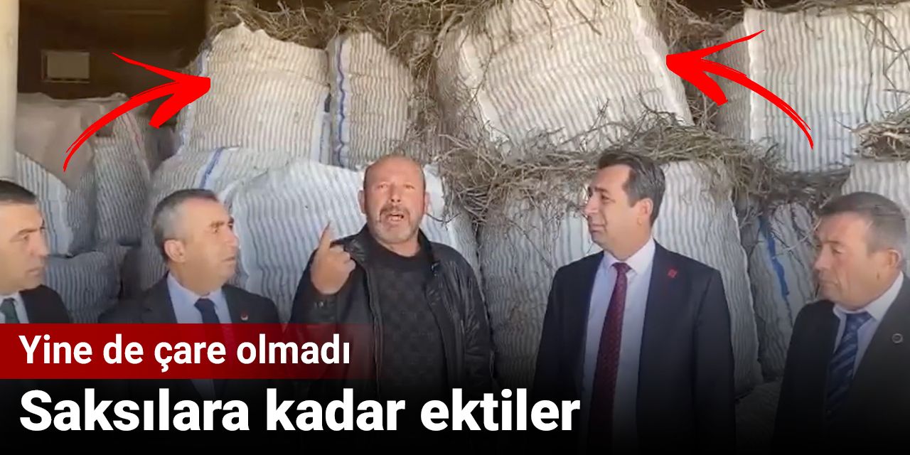 Saksılara kadar ektiler yine de çare olmadı