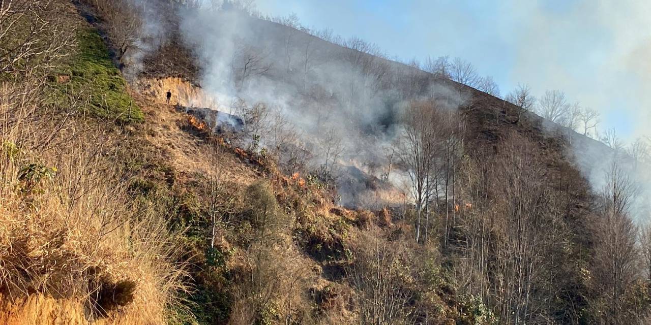 Rize'de anız yangını ormana sıçradı. Söndürme çalışmaları sürüyor