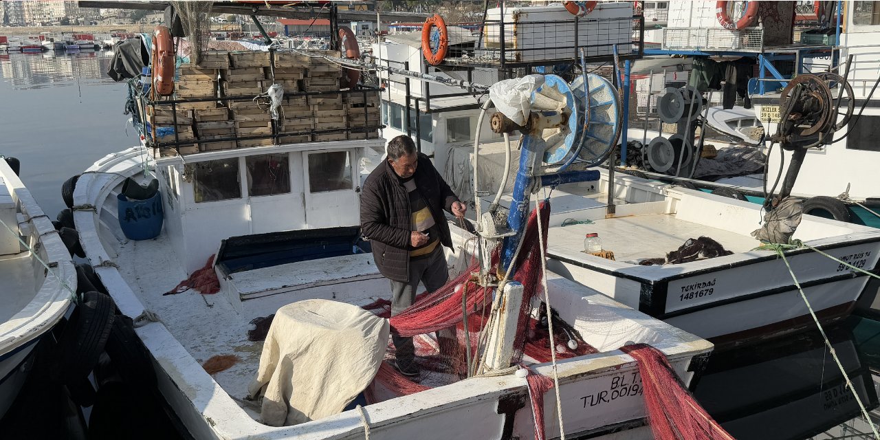 Tekirdağ'da karides heyecanı