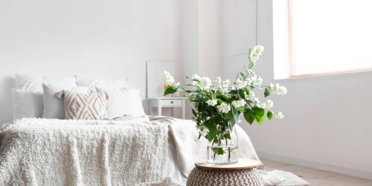 Mutluluk bu çiçeğin yetiştiği evi sonsuza dek takip eder derler: Sizde var mı?