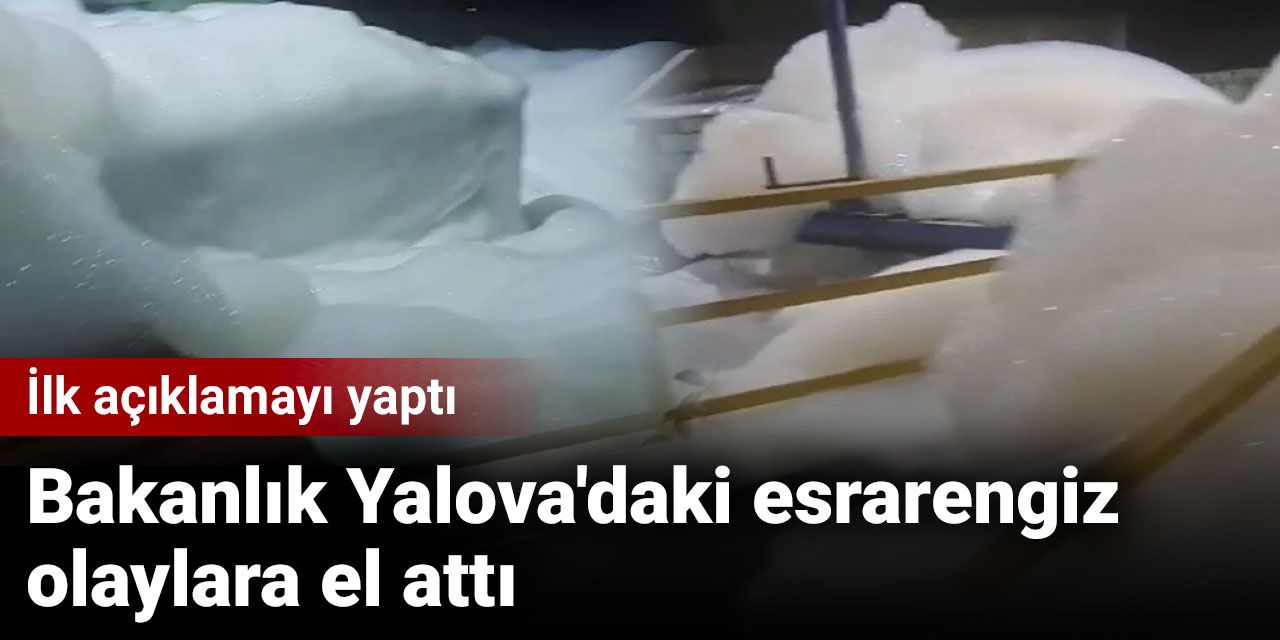 Bakanlık Yalova'daki esrarengiz olaylara el attı: İlk açıklamayı yaptı