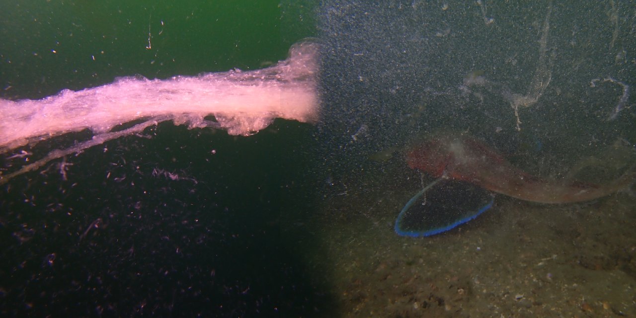 Müsilajda kabus yılı geri dönüyor