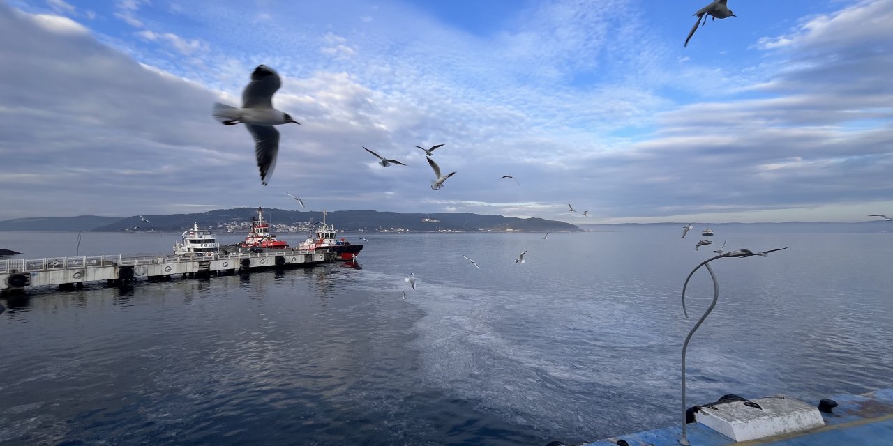Çanakkale'de ortaya çıktı! Tehlike büyük