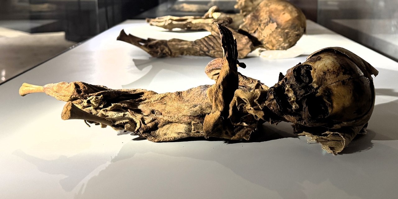 Mumyalar iklimlendirme ile hayatta