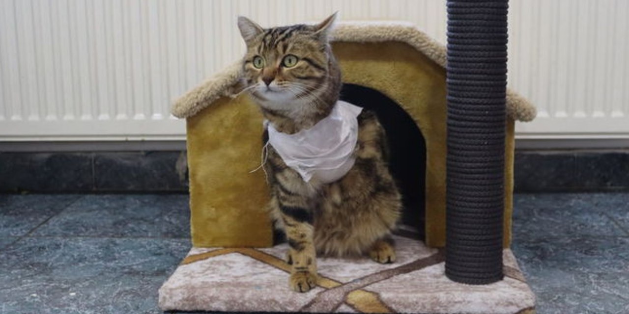 Bir bacağını kaybetti ama sevgiyi buldu