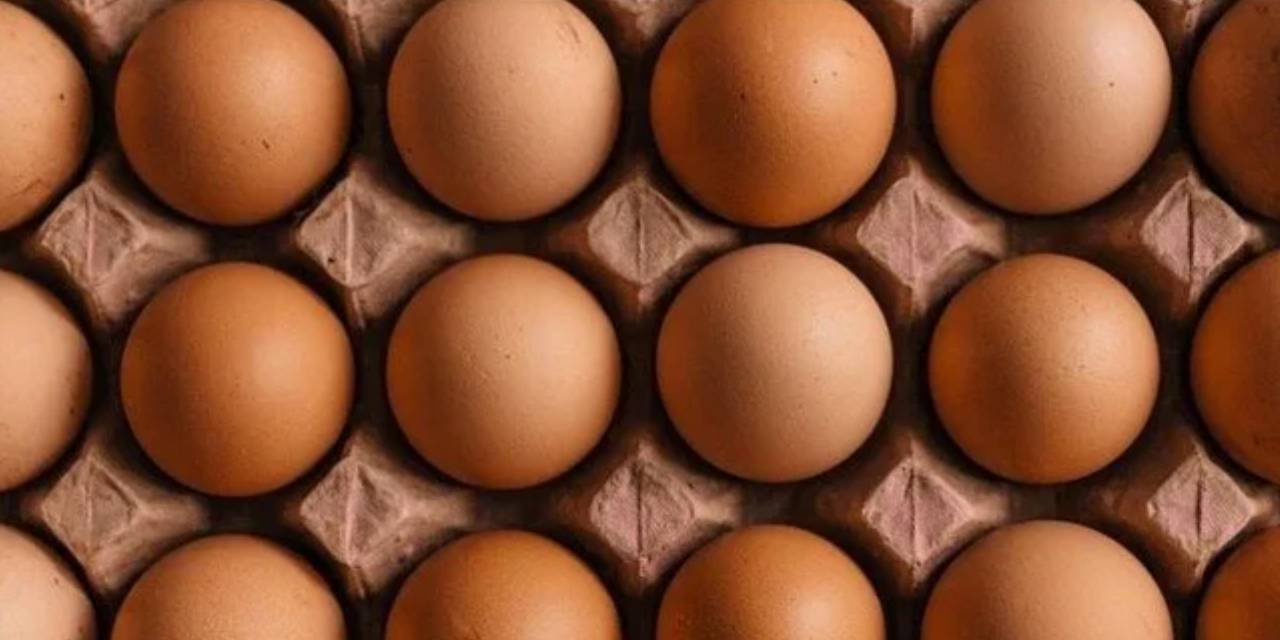 Kuş gribi yumurta fiyatlarını uçurdu