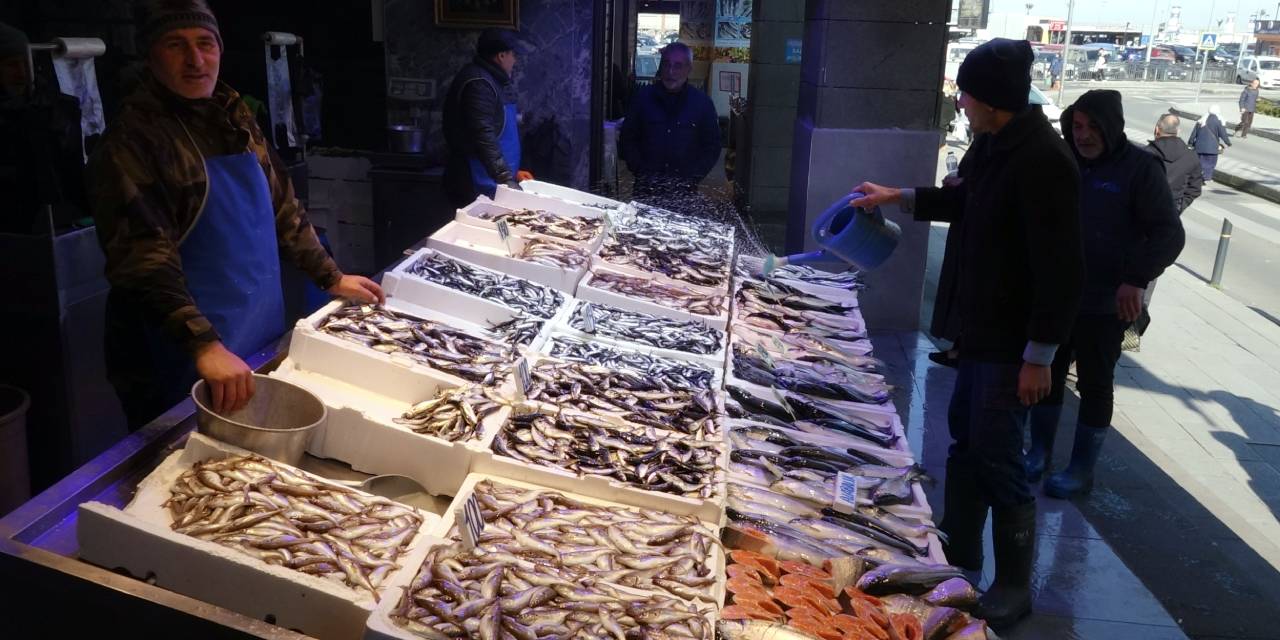 Palamut gitti o geldi: Kilosu 350 liradan satılıyor