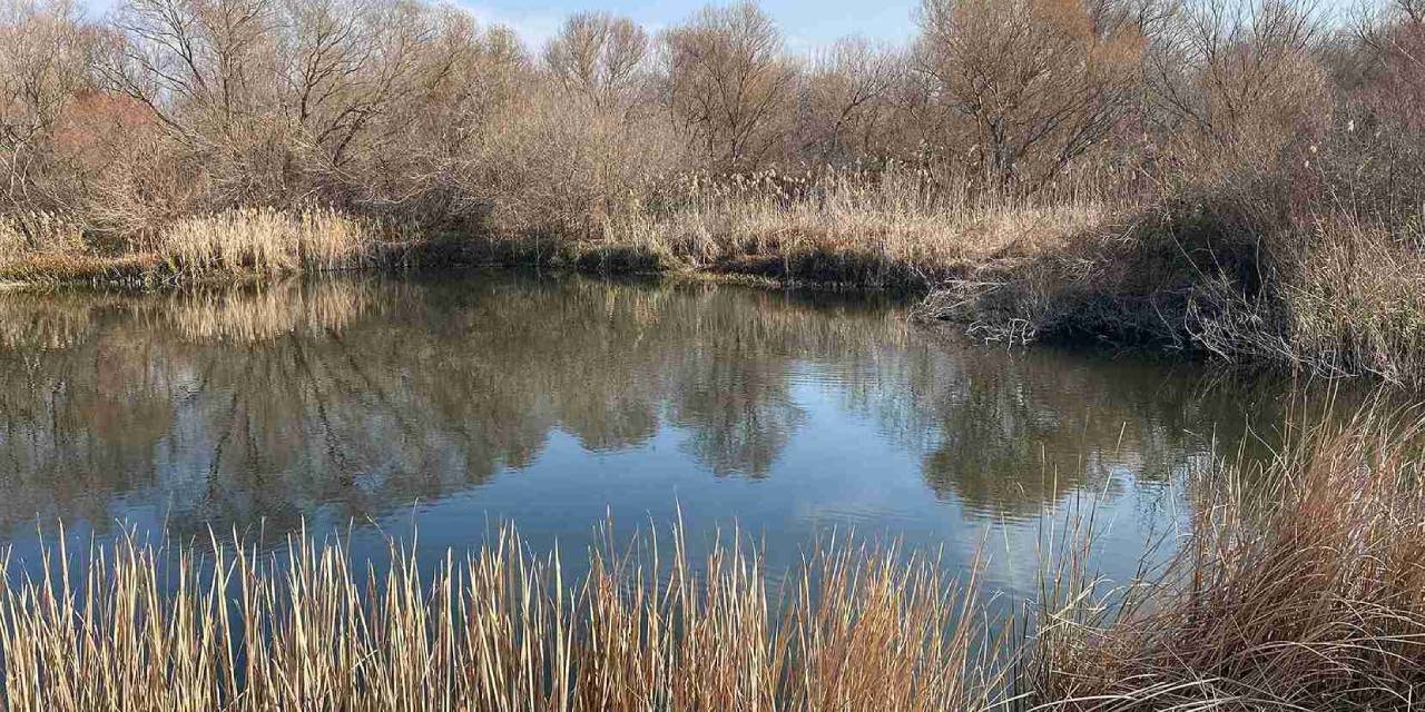 796 dekar alana sahip alanda 240 tür var