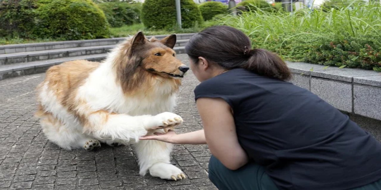 Köpek kostümü için 14.000 dolar harcamıştı: Şimdi de insanların hayvan kılığına girebileceği bir hayvanat bahçesi açtı