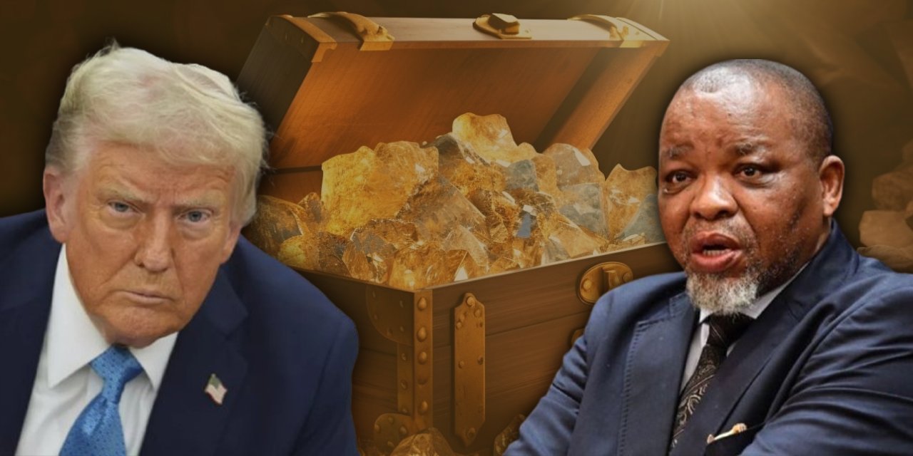 Güney Afrika'dan Afrika ülkelerine çağrı: ABD'ye satışı durdurun