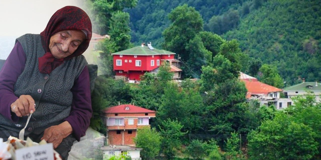 Ordu'da köklerini salan Selvi 110'uncu yaşını kutladı