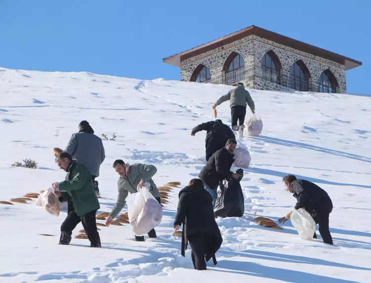 491 yıl önce başlatıldı: Karla kaplı doğaya bıraktılar