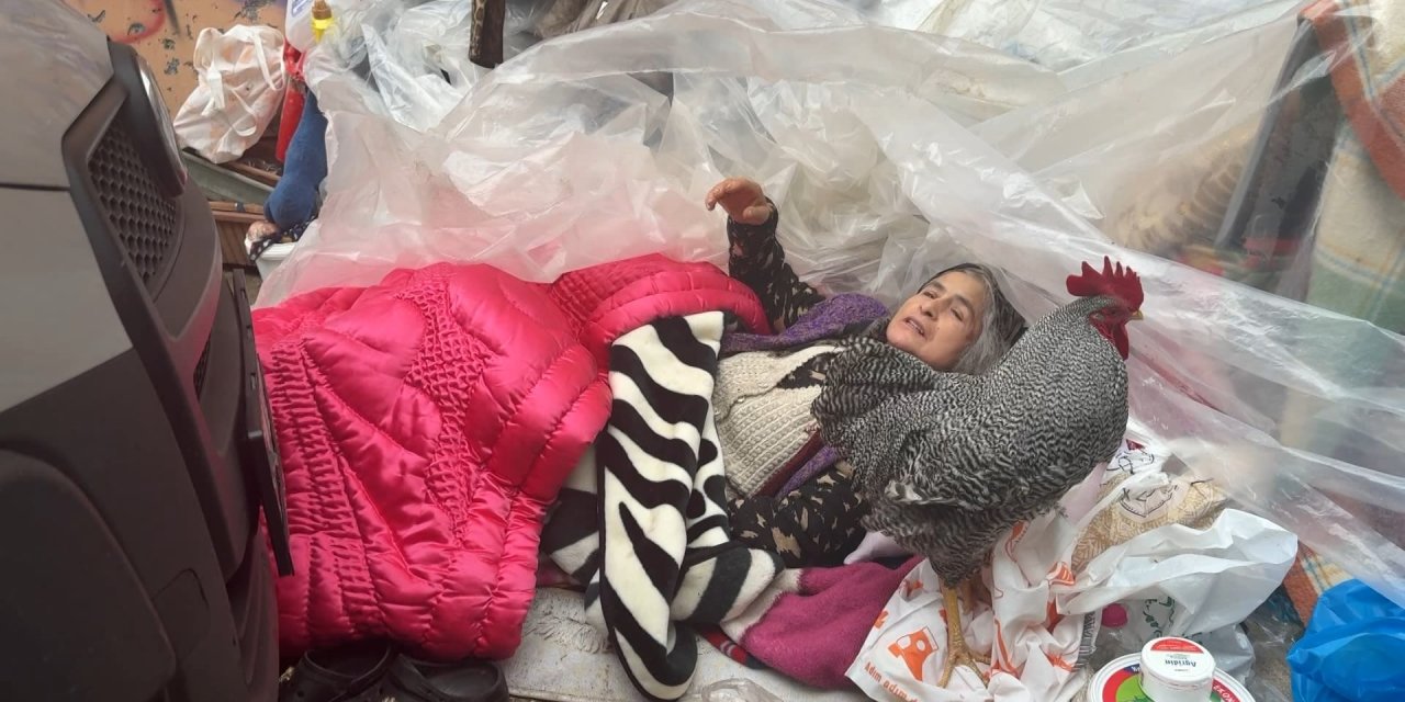 Horozlu teyzenin çöp evine  icra şoku