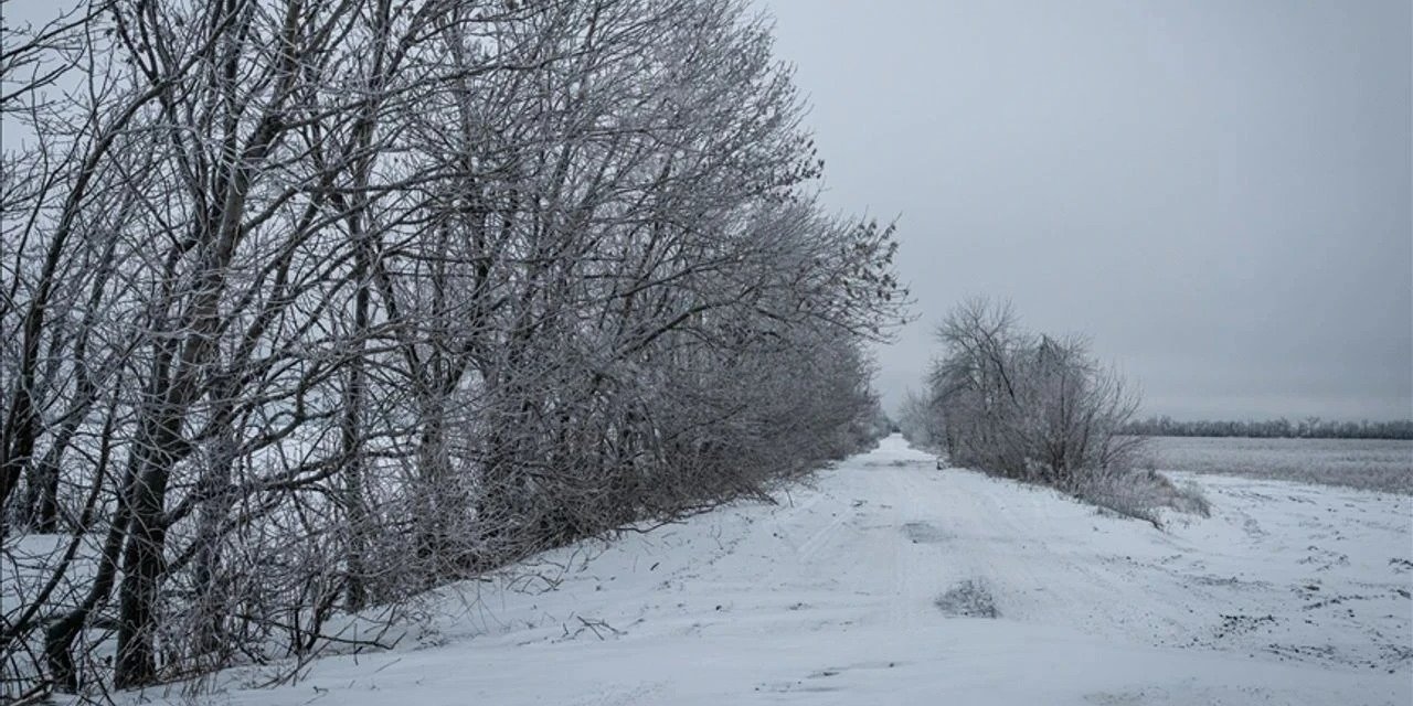 Komutanının ağaca bağladığı asker donarak öldü