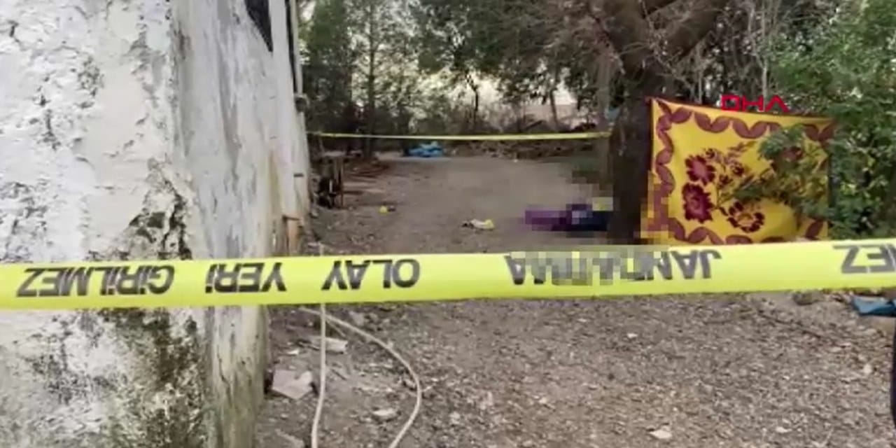 Tartıştığı babasını baltayla öldürdü