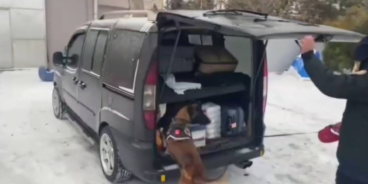 Narkotik köpeği yakaladı: 15 kilo sentetik uyuşturucu